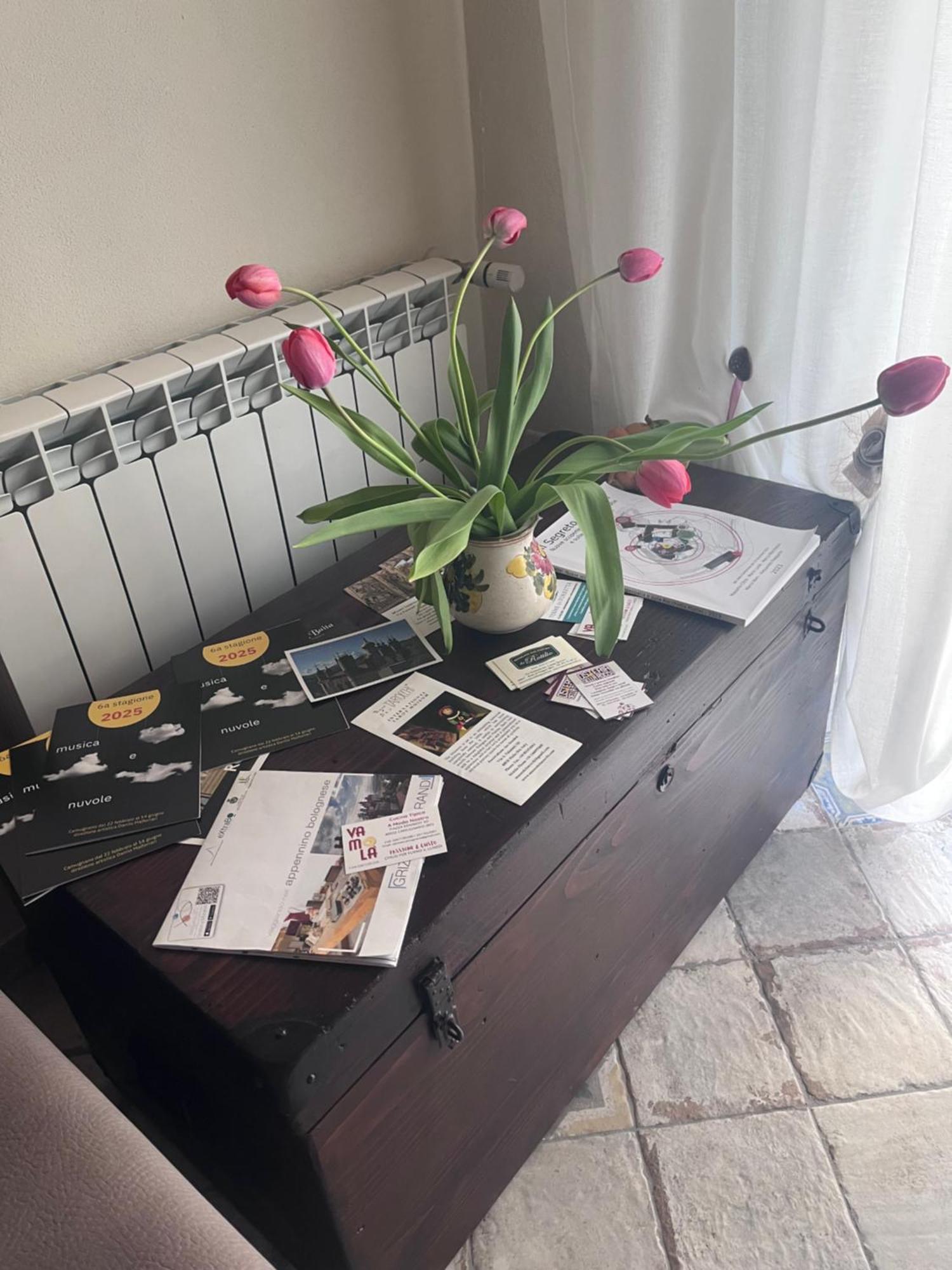 B&B Camelia Camugnano 外观 照片